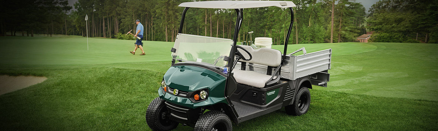 2018 EZGO RXV for sale in Action Golf Carts, Mesa, Arizona